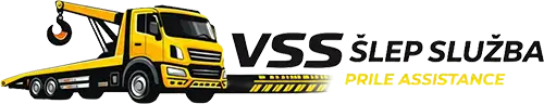 VSS Logo